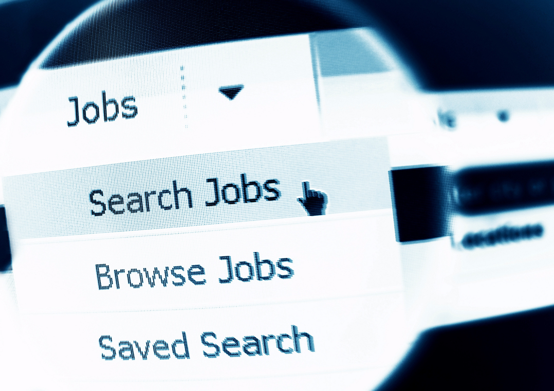 job search