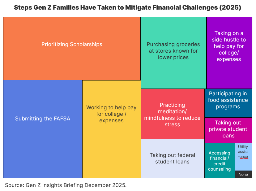 Steps Gen Z Families Have Taken to Mitigate Financial Hardship 2025